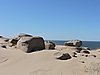 DSCN7153.JPG