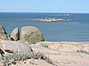 DSCN7155.JPG