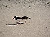 DSCN7162.JPG
