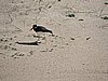 DSCN7163.JPG