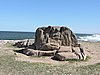 DSCN7164.JPG