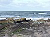 DSCN7177.JPG