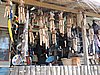 DSCN7184.JPG