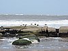 DSCN7201.JPG