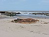DSCN7202.JPG