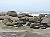 DSCN7208.JPG