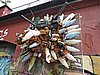 DSCN7261.JPG