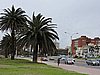 DSCN7263.JPG