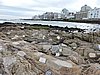 DSCN7275.JPG