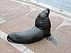 DSCN7285.JPG
