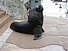 DSCN7286.JPG
