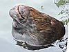 DSCN7288.JPG