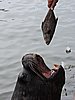 DSCN7296.JPG