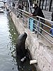 DSCN7297.JPG