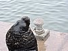 DSCN7298.JPG