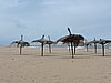 DSCN7331.JPG