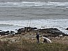 DSCN7360.JPG