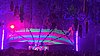 DSCN7361WP_20171015_20_30_11_Pro.jpg