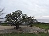 DSCN7370.JPG