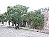 DSCN7388.JPG