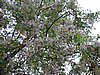 DSCN7397.JPG