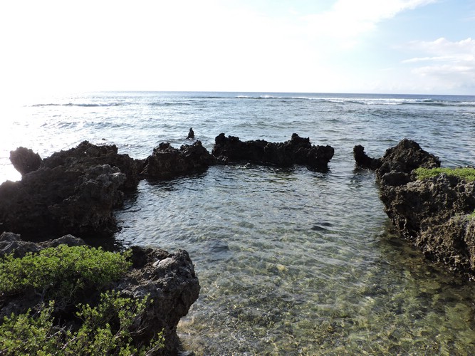 DSCN5286.JPG