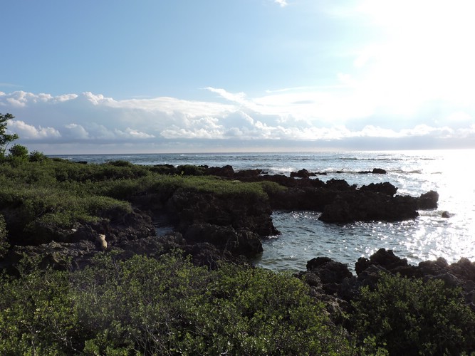 DSCN5287.JPG