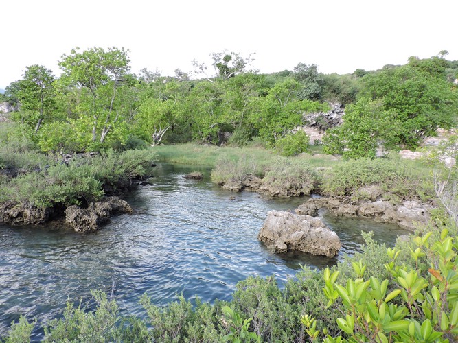 DSCN5291.JPG