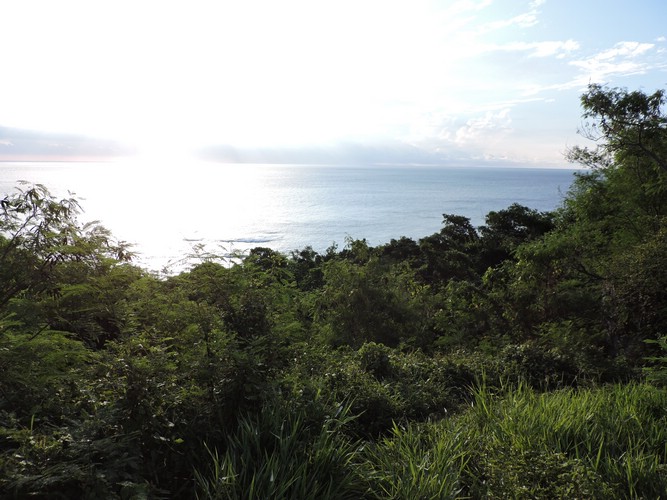 DSCN5294.JPG