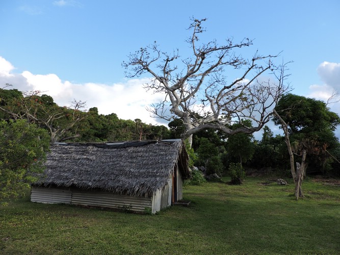 DSCN5295.JPG