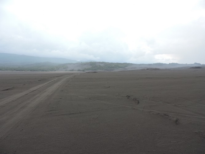 DSCN5308.JPG