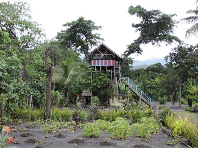 DSCN5322.JPG