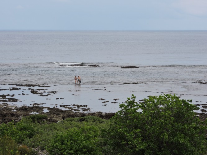 DSCN5444.JPG