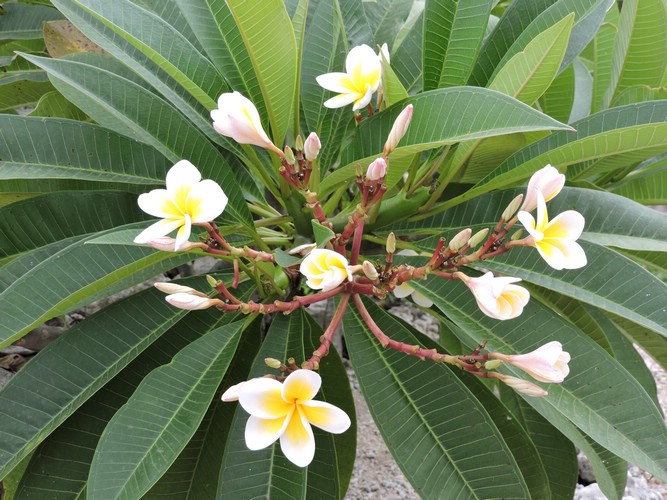 DSCN5445.JPG