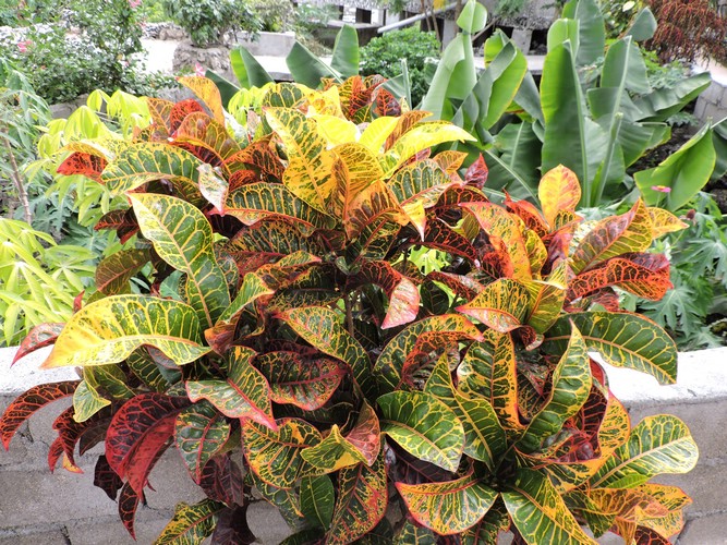 DSCN5446.JPG