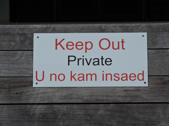 DSCN5478.JPG