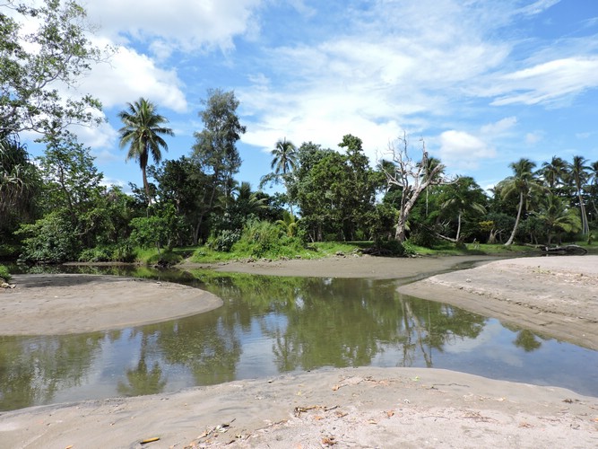 DSCN5479.JPG
