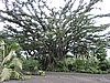 DSCN5314.JPG