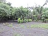 DSCN5315.JPG