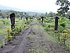 DSCN5316.JPG