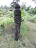 DSCN5317.JPG