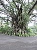 DSCN5324.JPG