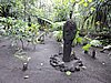 DSCN5327.JPG