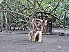 DSCN5328.JPG