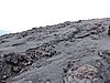 DSCN5344.JPG