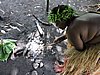 DSCN5429.JPG