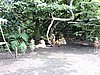 DSCN5436.JPG