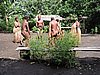 DSCN5439.JPG