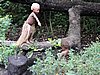 DSCN5441.JPG