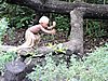 DSCN5442.JPG
